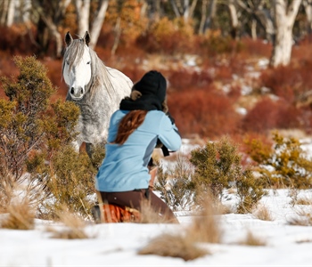 Victory's Herd: Australian Snowy Mountains, Wild Horses of the World