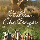 Stallion Challenges: From the Kaimanawa Wilderness to the Show Arena