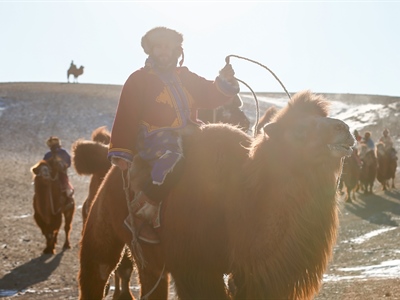 Day 9: Gobi Cold Camel Expedition