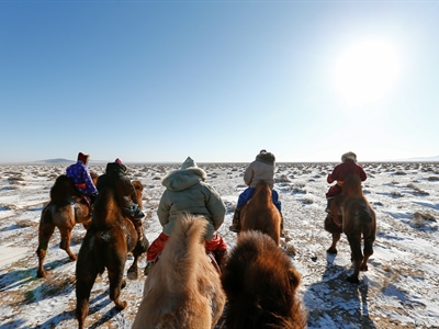 Day 5: Gobi Cold Camel Expedition
